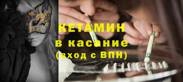 дмт Ельня