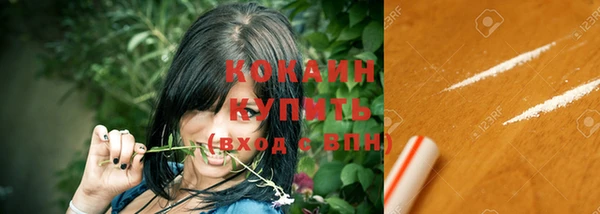 spice Няндома